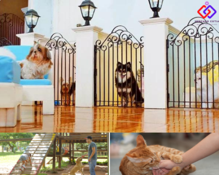 Hotel Pet